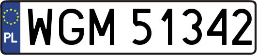 WGM51342