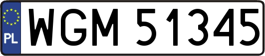 WGM51345