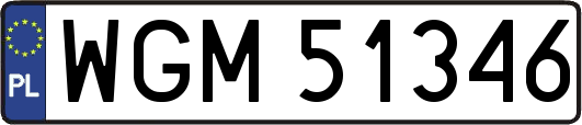 WGM51346