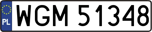 WGM51348
