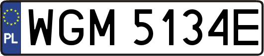 WGM5134E