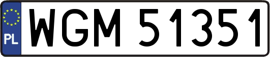 WGM51351