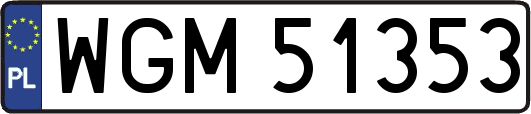 WGM51353