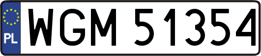 WGM51354