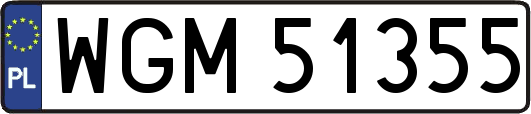 WGM51355