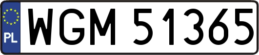 WGM51365