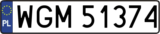 WGM51374