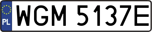 WGM5137E
