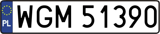WGM51390