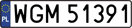 WGM51391