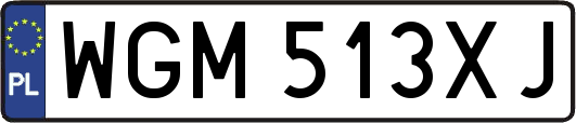 WGM513XJ