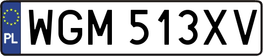 WGM513XV