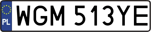 WGM513YE