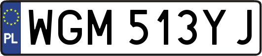 WGM513YJ