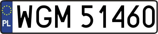 WGM51460