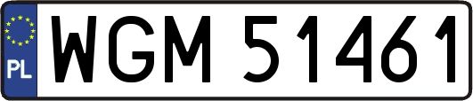 WGM51461