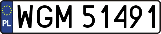 WGM51491