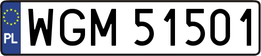 WGM51501