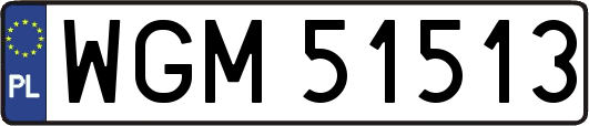 WGM51513
