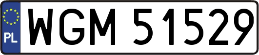 WGM51529