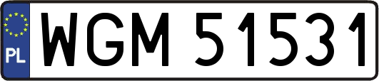 WGM51531
