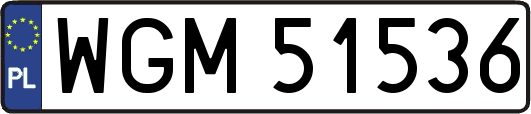 WGM51536