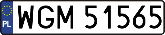 WGM51565