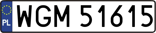 WGM51615