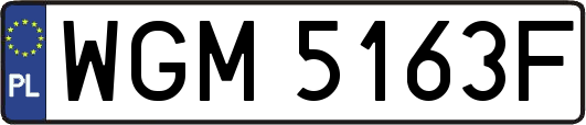 WGM5163F