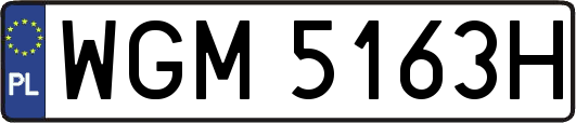 WGM5163H