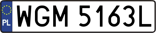 WGM5163L