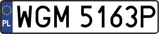 WGM5163P