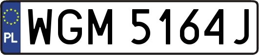 WGM5164J