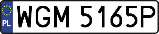 WGM5165P