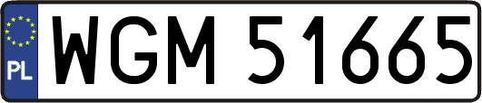 WGM51665