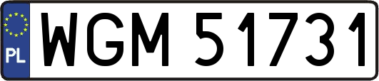 WGM51731
