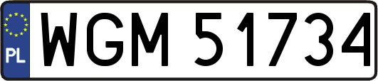 WGM51734