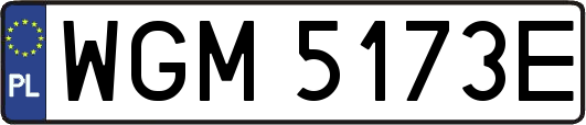 WGM5173E