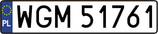 WGM51761