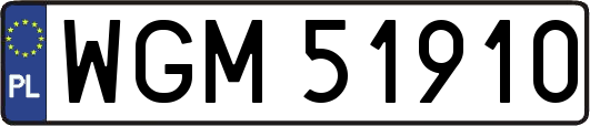 WGM51910