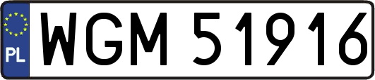 WGM51916