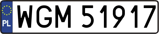 WGM51917