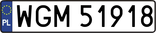 WGM51918