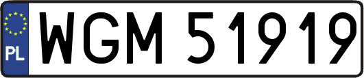 WGM51919