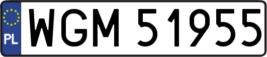 WGM51955