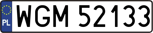 WGM52133
