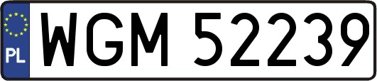 WGM52239