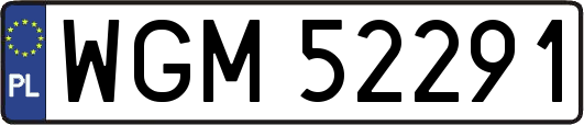 WGM52291