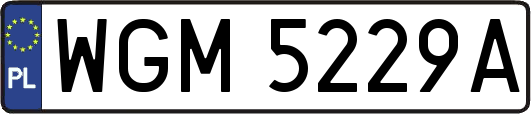 WGM5229A