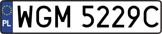 WGM5229C